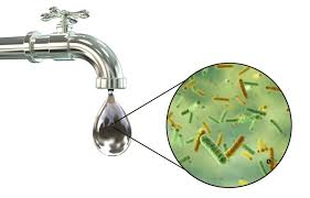 Graphic 1 of bacteria in water drop coming from tap